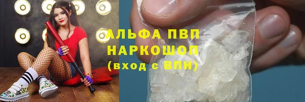 молекула духа Осташков