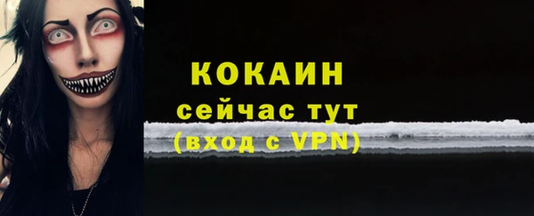 молекула духа Осташков