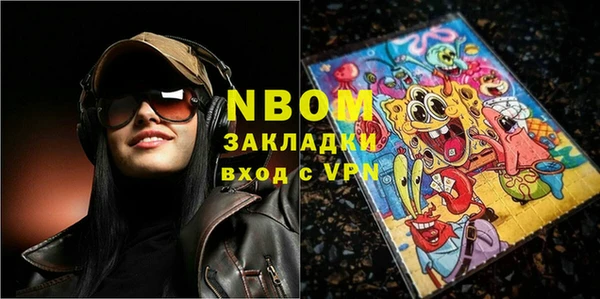 молекула духа Осташков