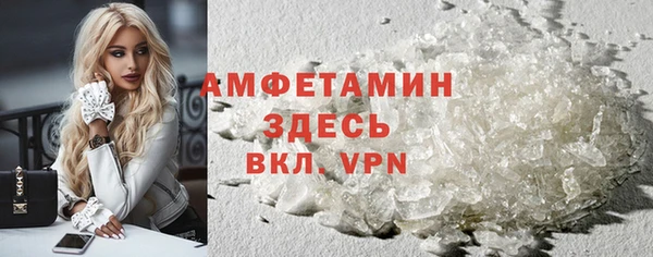 молекула духа Осташков