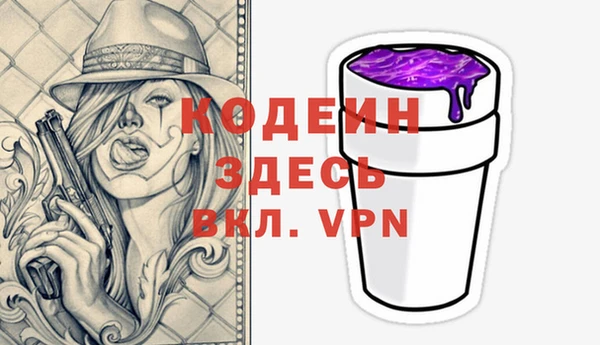 молекула духа Осташков