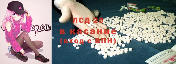 молекула духа Осташков