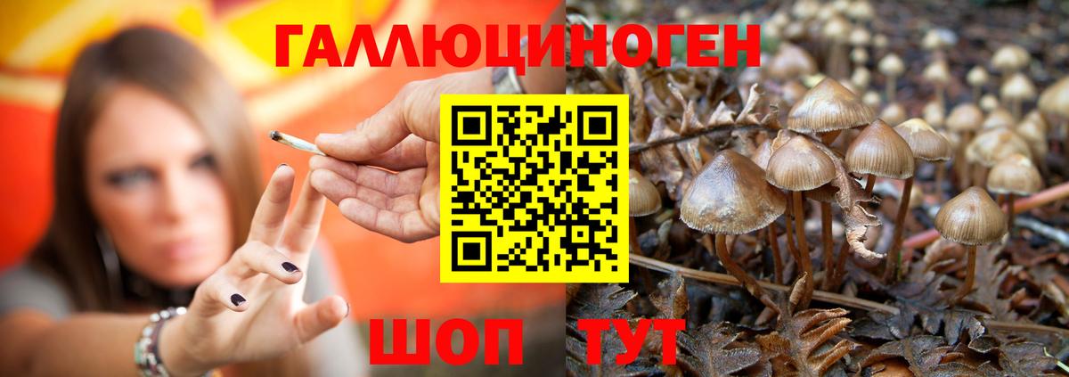 Галлюциногенные грибы Magic Shrooms  Вход с VPN  Морозовск 
